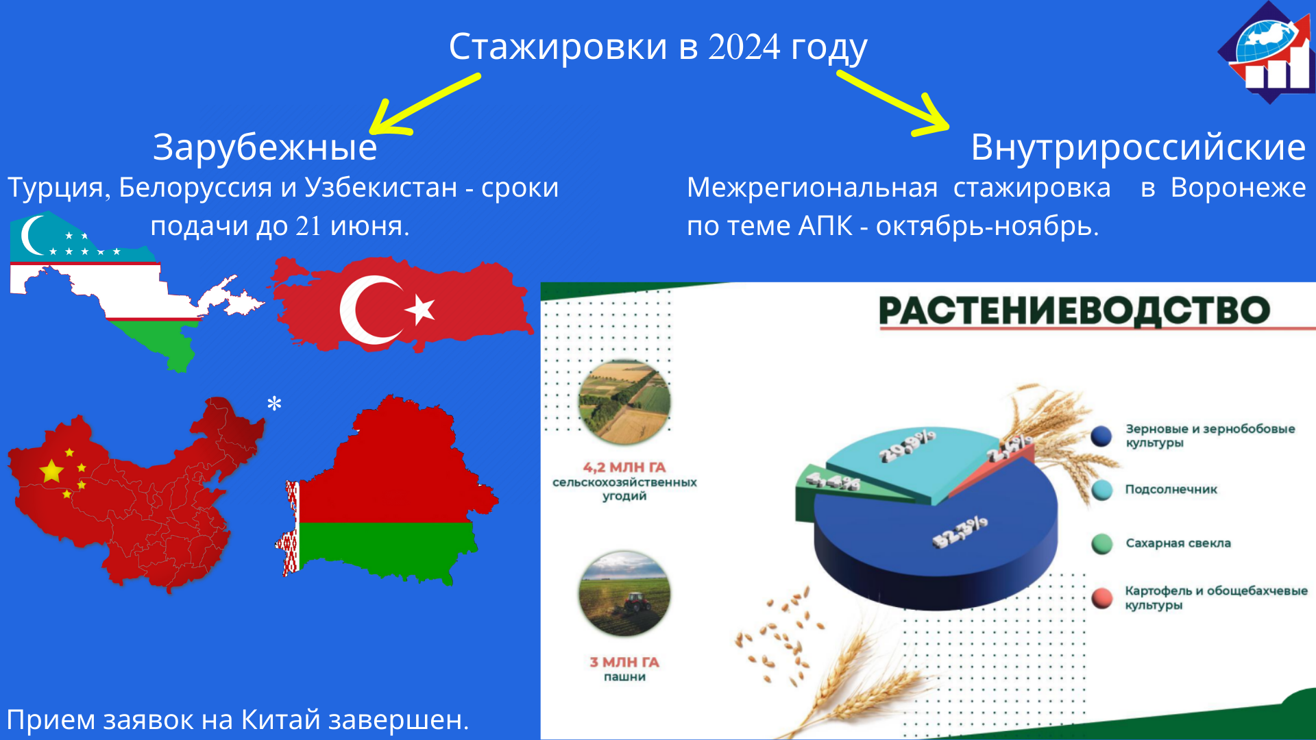 Зарубежные стажировки в 2024 году