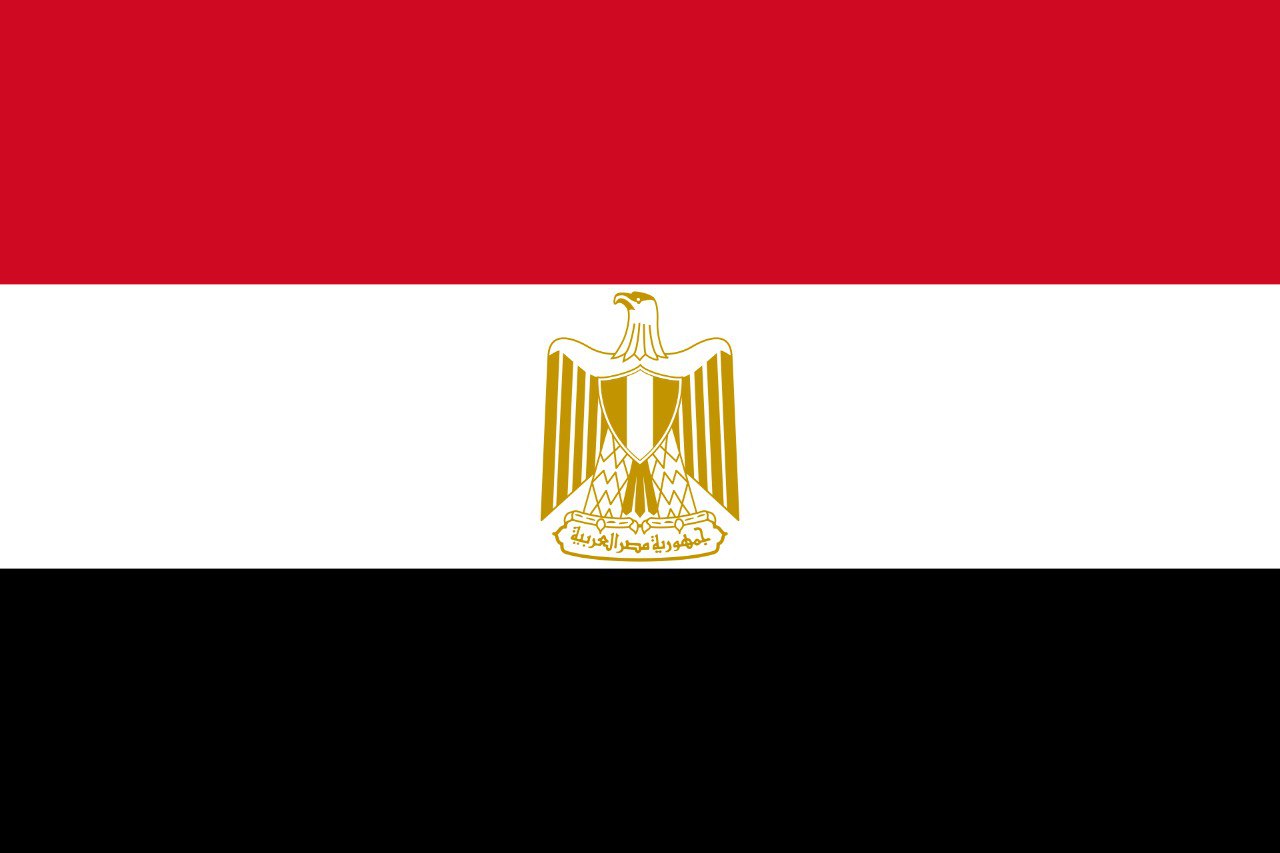 Зарубежная стажировка в Арабской Республике Египет по направлению «Экономическая кооперация и торговля»
